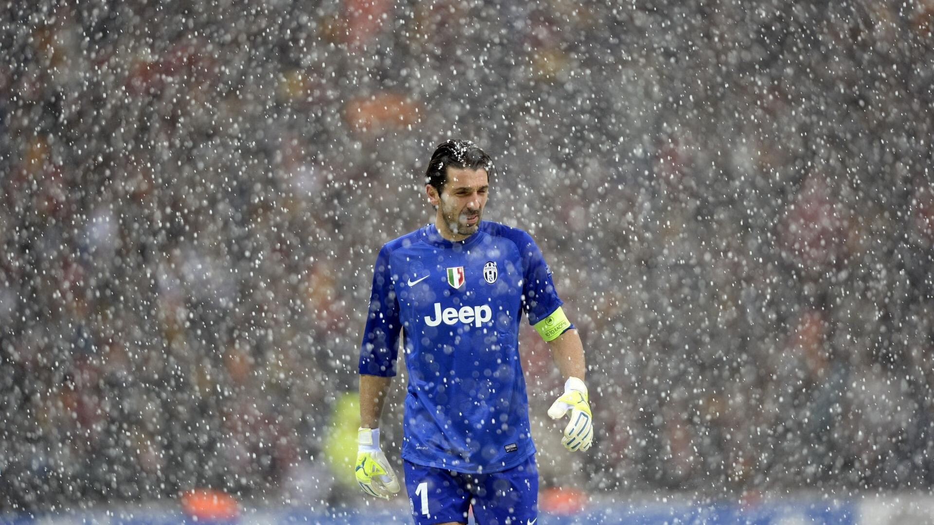 墨尔本联关键比赛表现坚韧，墨尔本联队什么水平